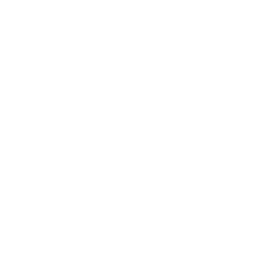 Eleanor Scott Davis Fine Art